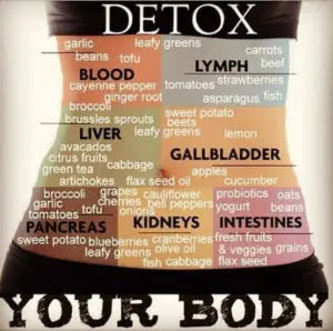 A FULL BODY DETOX - India's Leading Genuine Supplement Retailer