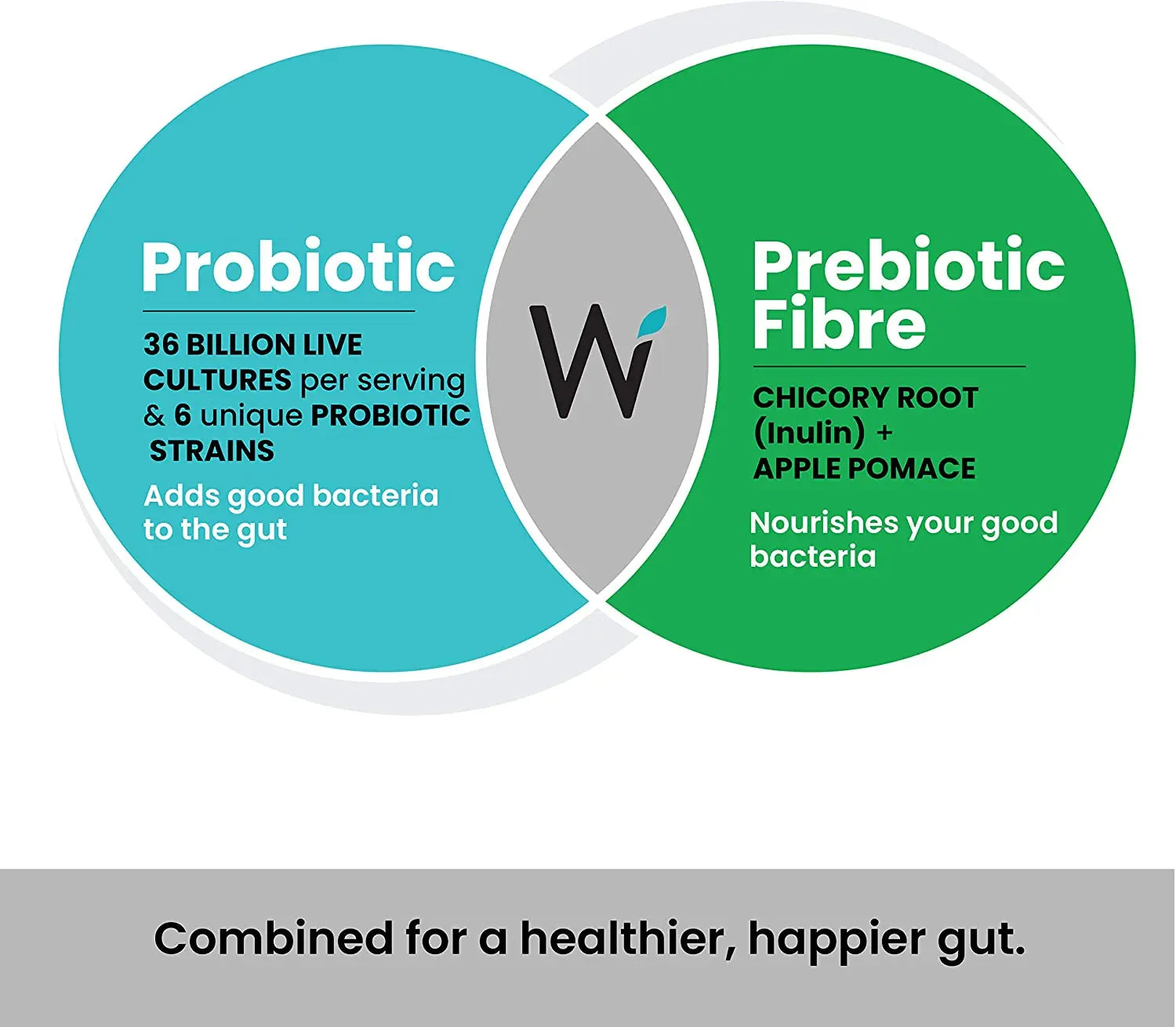 Wellbeing Nutrition Daily Probiotic + Prebiotic Fiber - India's Leading Genuine Supplement Retailer